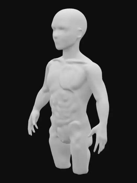 3D model for A hyper-realistic 3D model of the human cross section of a child