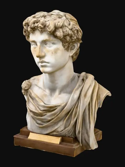 3D model for Timeless Gaze