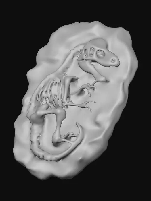 3D model for Dinosaur Fossil Discovery