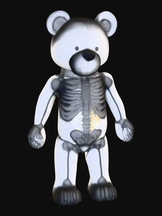 3D model for X-Ray Teddy