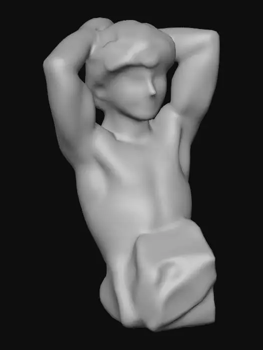3D model for Sculpted Youthfulness