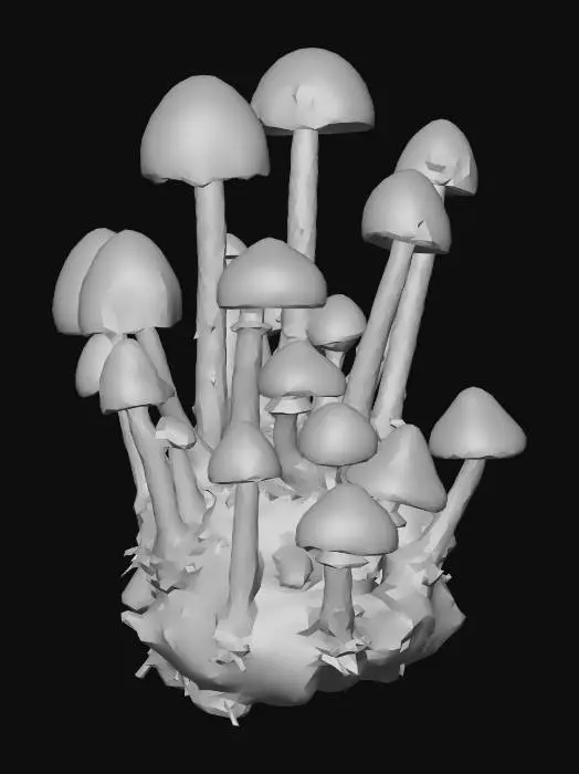 3D model for Cluster of Mushrooms