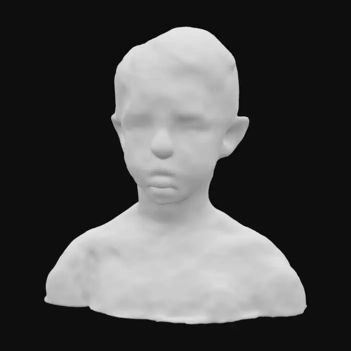 3D model for Parched Masks
