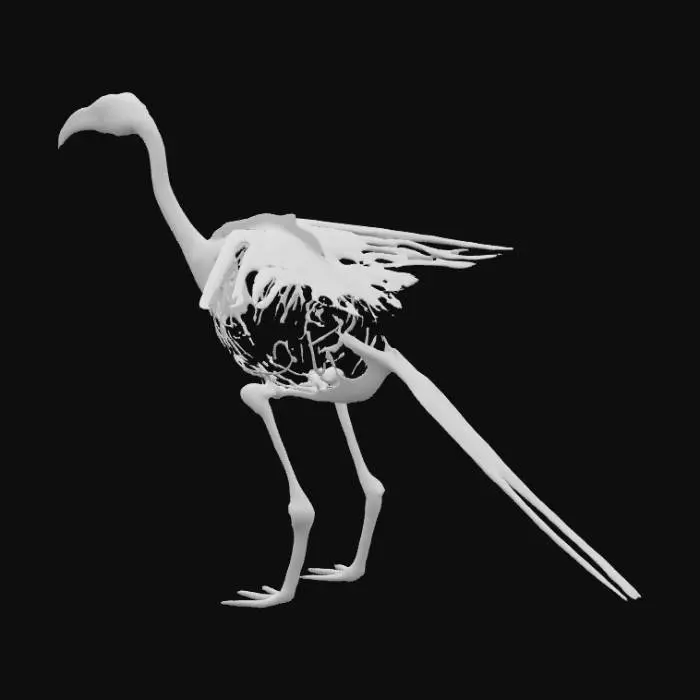 3D model for This image is an X-ray view of a bird, showing its skeletal structure overlaid on its body. The bird's skull, beak, spine, ribcage, wings, and legs are clearly visible, with the bones highlighted in white against a black background. The translucent effect allows the feathers and soft tissues to be faintly seen, providing a detailed look at its anatomy.