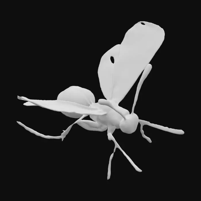 3D model for Iridescent Intricacy