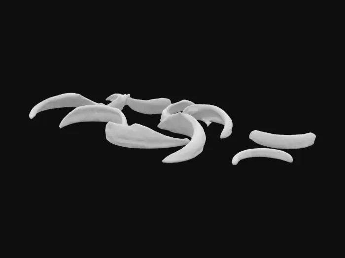 3D model for Toenails Clipping