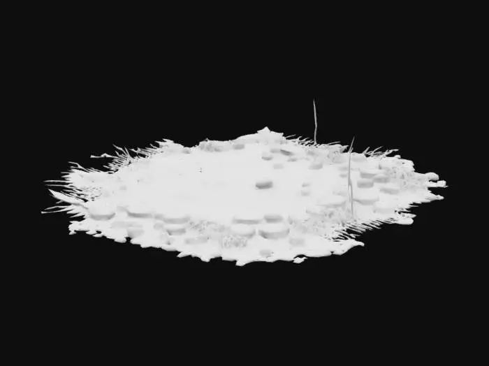 3D model for A natural garden ground with patches of compacted dirt and irregular tufts of grass. Some dry leaves, small pebbles, exposed roots, and uneven terrain. Slightly muddy in shaded areas, with scattered organic debris like twigs. The ground feels wild and textured, surrounded by lush vegetation. Ideal for a fairy-tale or backyard setting. No pavement, no artificial surfaces.