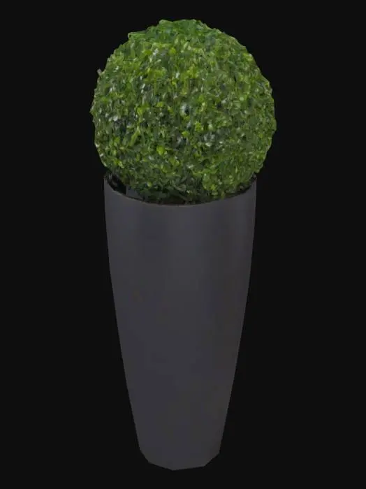 3D model for Topiary Elegance