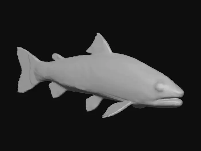 3D model for Pixelated Trout