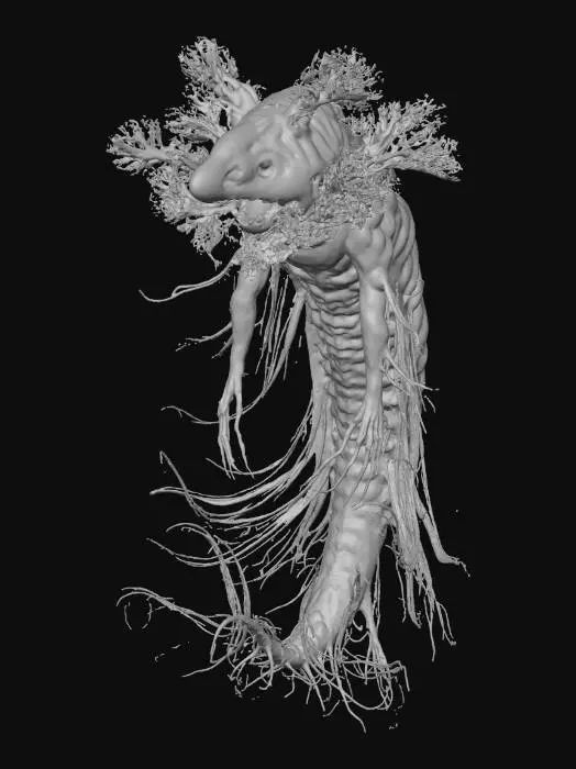 3D model for design a creature adapted to extreme tidal forces and warped time. Days last four Earth years and nights last two. The creature drifts between two planets that share the same orbit, enduring alternating blazing starlight and deep frozen darkness. Its body is elongated and partially translucent, with gravity-sensing fronds, iridescent plasma organs that shimmer in strong aurora-like radiation, and shielded core segments to protect from relativistic particles. It has no eyes; it navigates by sensing spacetime distortions and magnetic storms. Its limbs are fractal filaments that can anchor into the planet’s crust during high tidal pull. Background: sky filled with shifting auroras, multiple moons, and distant warped stars curving around the black hole’s silhouette.