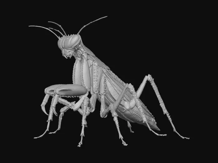 3D model for Prismatic Mantis
