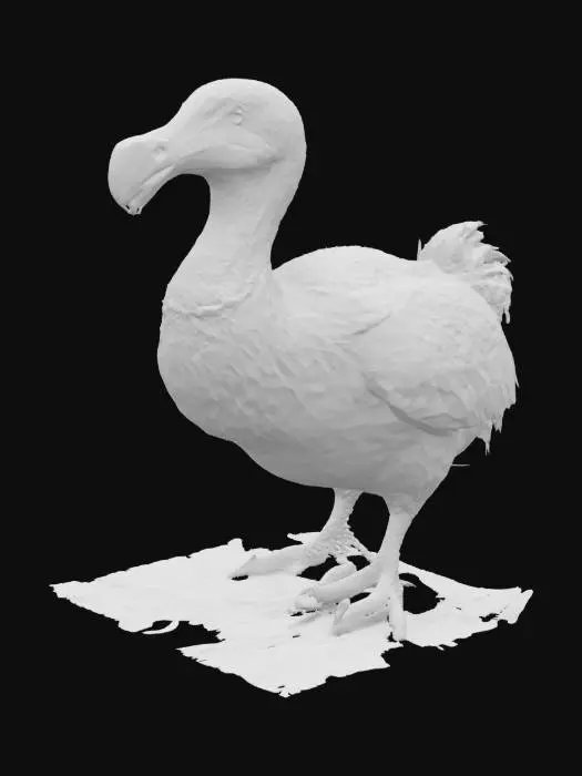 3D model for Dodo Dreamer
