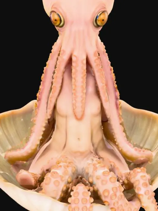 3D model for Octopus humanoid female sitting in a clam shell