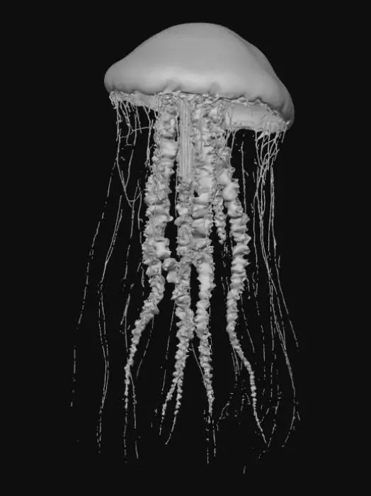 3D model for scary deep sea creature hybrid jellyfish