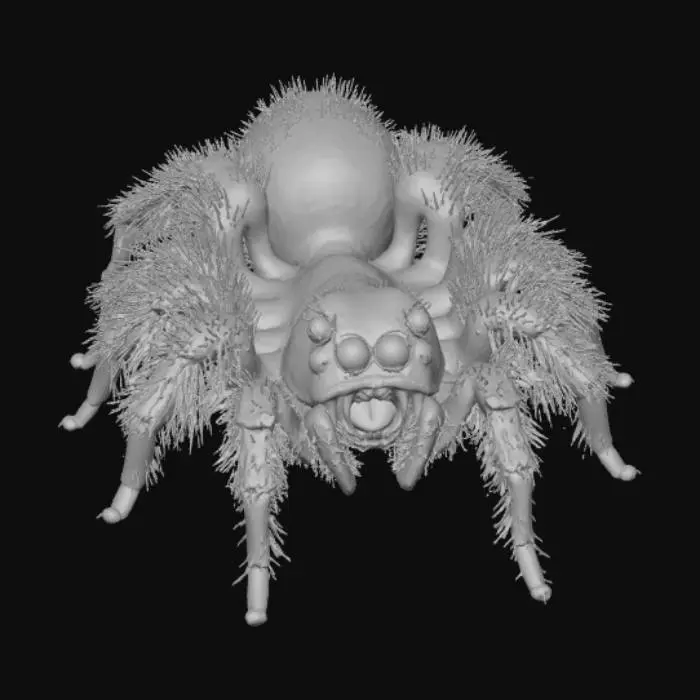 3D model for Baby spider hybrid with open jaw