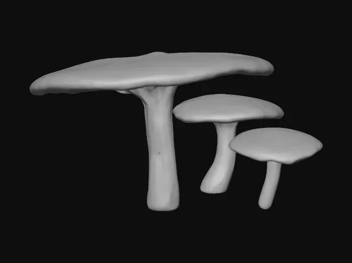 3D model for Illuminated Mushrooms
