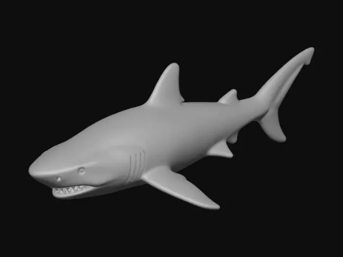 3D model for Plastic Shark Model