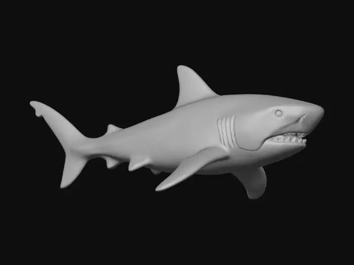 3D model for Bull Shark Adventure