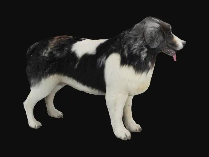 3D model for Pyrenean mastiff, #garden#,  dog