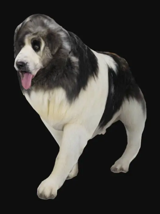 3D model for Pyrenean mastiff, #garden#,  dog