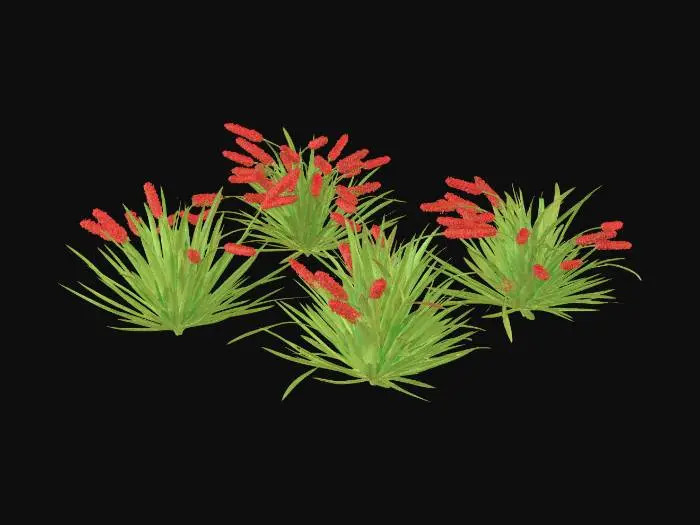 3D model for Red Hot Poker Clusters