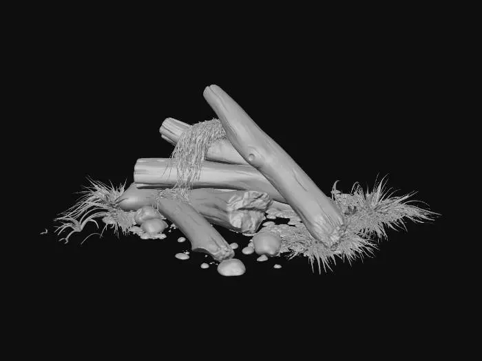 3D model for treibgut