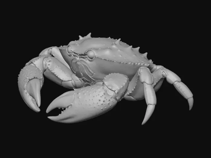 3D model for Abyssal Glow Crab