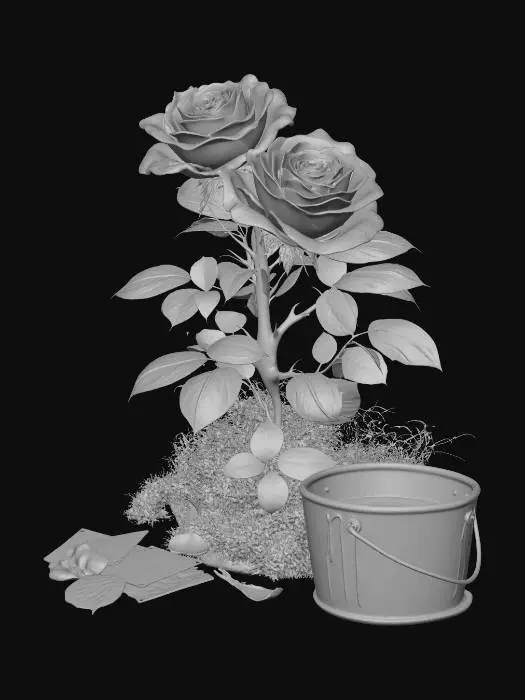 3D model for Ivory and Crimson Roses