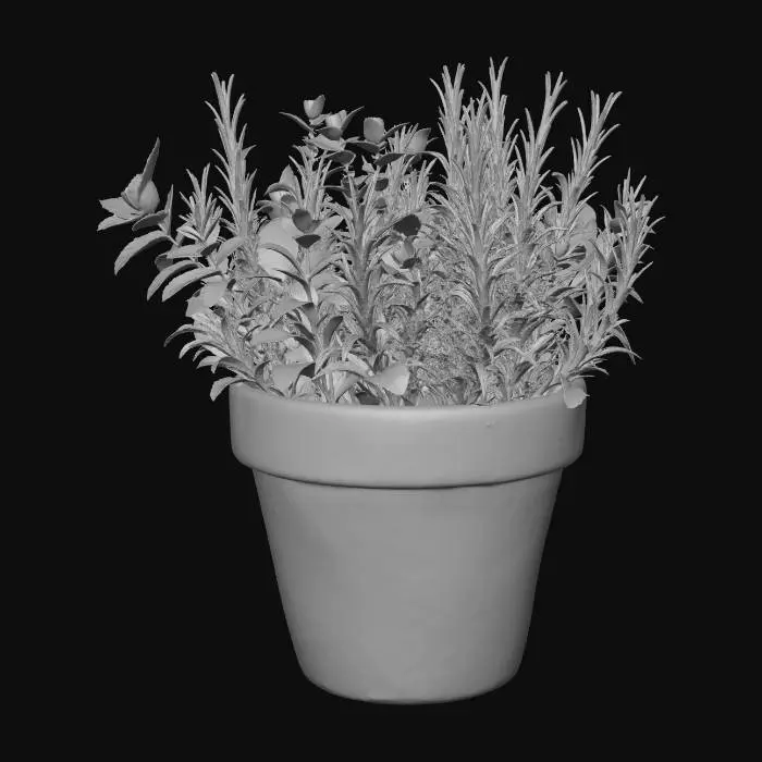 3D model for Terracotta Pot Herb Garden
