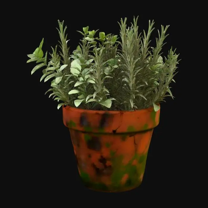 3D model for Terracotta Pot Herb Garden