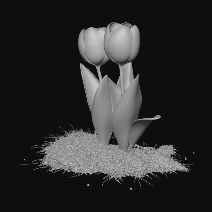 3D model for Two Tulips on a Pebble Path