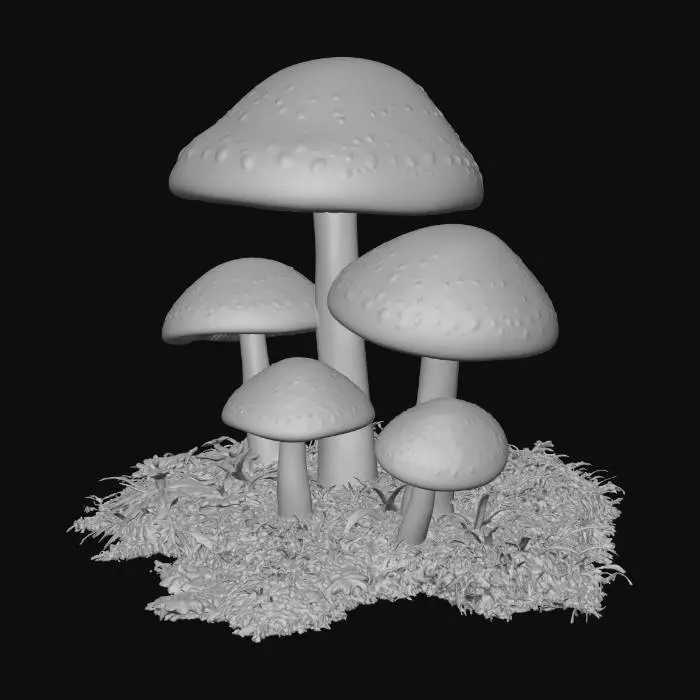3D model for mystic mushrooms