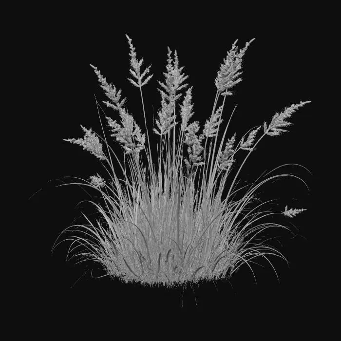 3D model for Sunlit Purple Plumes