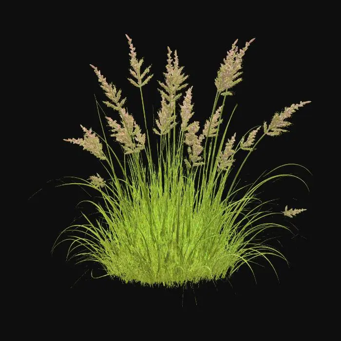 3D model for Sunlit Purple Plumes