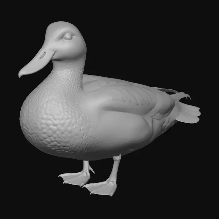 3D model for Canard Julien