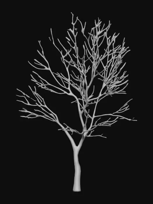 3D model for bare tree