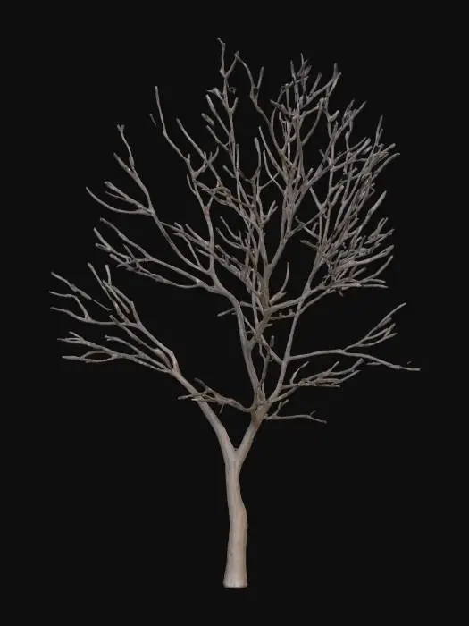 3D model for bare tree
