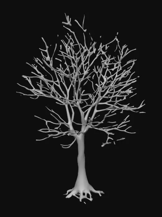 3D model for bare tree