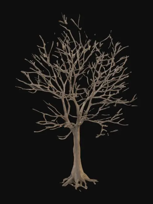 3D model for bare tree