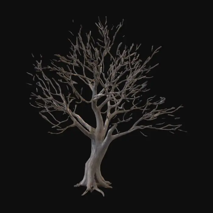 3D model for bare tree