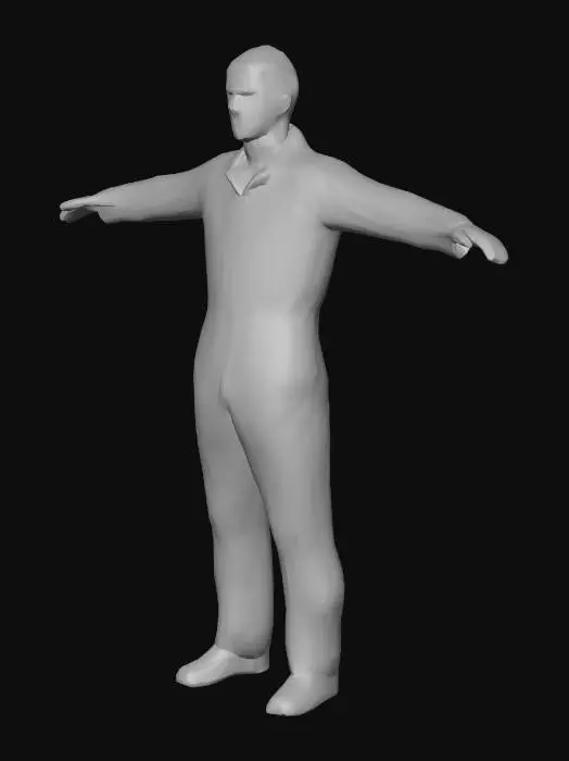 3D model for Confinement Stance