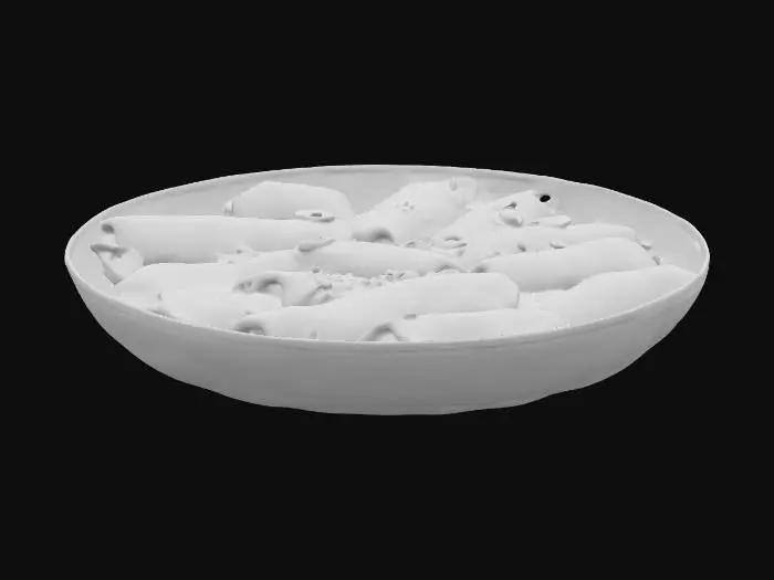 3D model for Spicy Rice Delights
