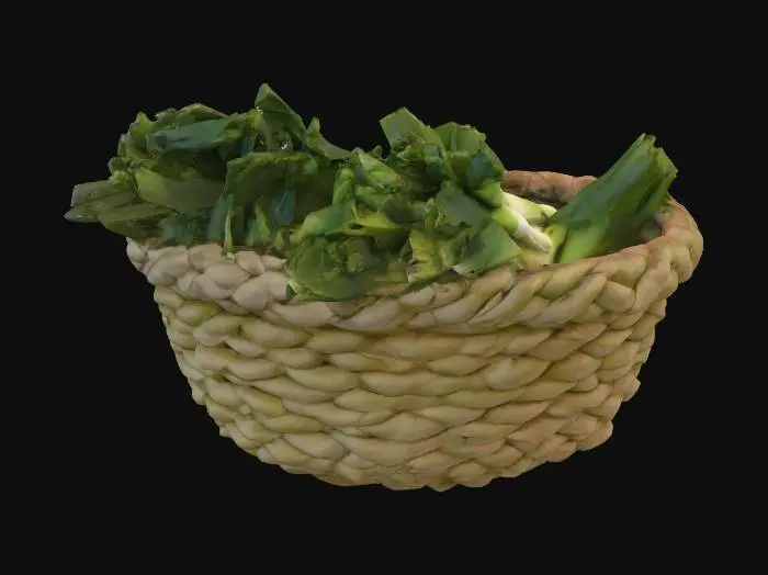 3D model for Basket of Leeks