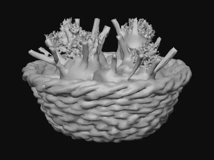3D model for Basket of Fennel
