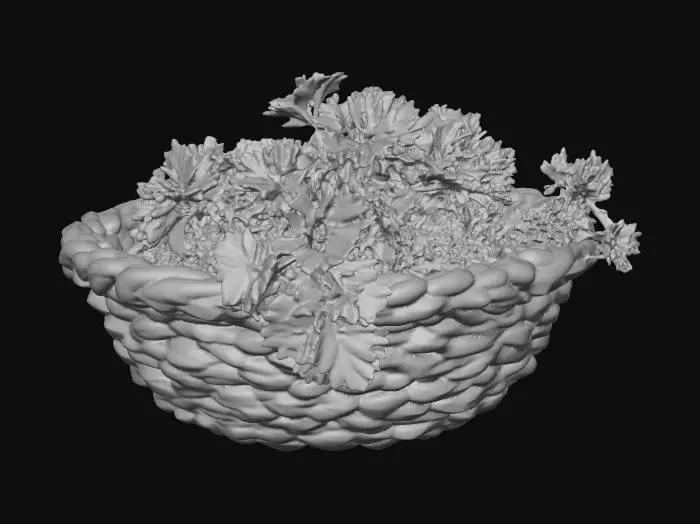 3D model for Basket of Parsley