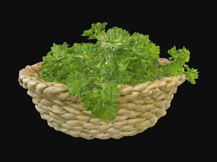 3D model for Basket of Parsley
