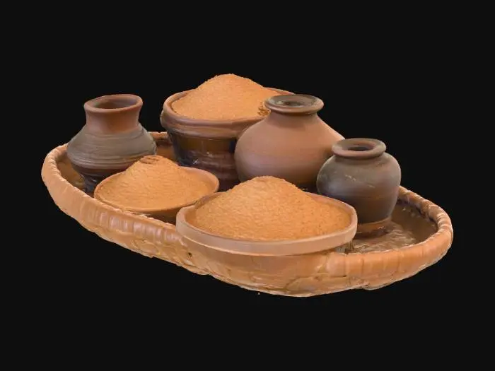 3D model for wheat1.png