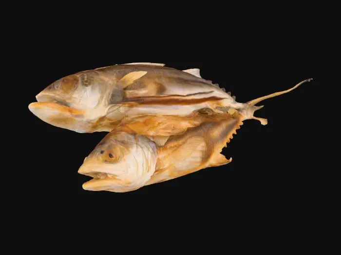 3D model for Screenshot 2025-09-28 at 8.29.11 PM.png