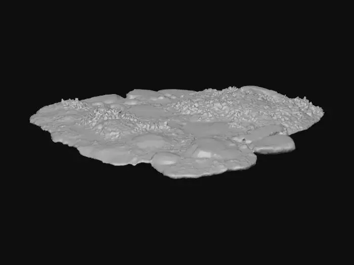 3D model for Wildflower Pathway