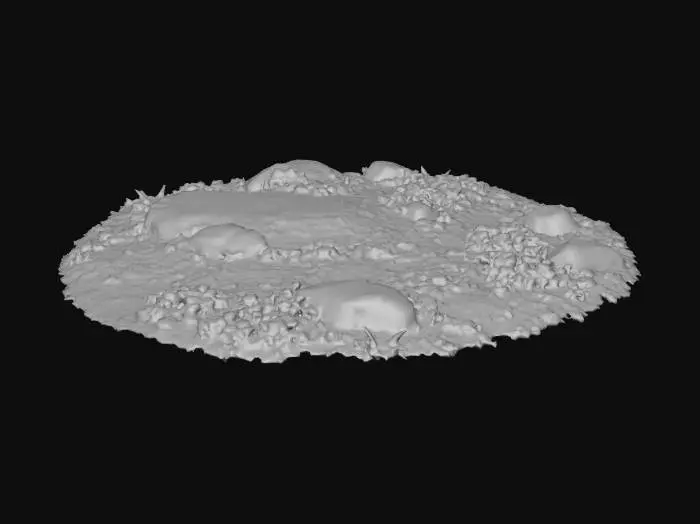 3D model for Path of Wildflowers